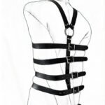 Torso Restraint Harness