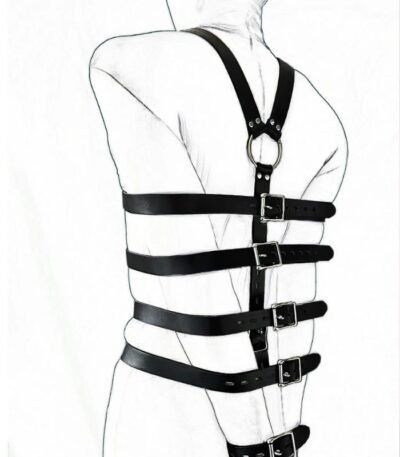 Torso Restraint Harness