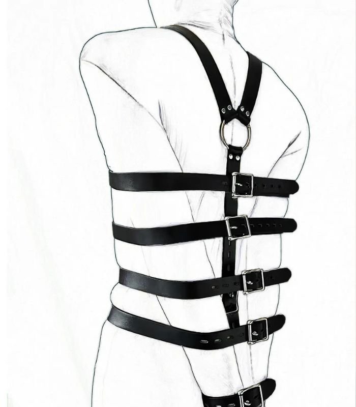 Torso Restraint Harness