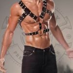 Leather Chest Harness